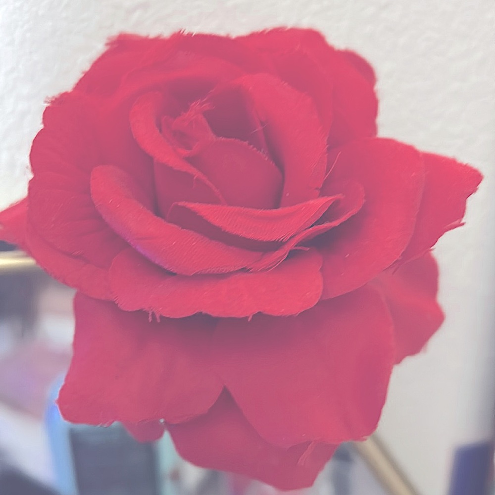 Cloth ROSE clip for hair or crafts w/dual clip & safety pin attachments on back